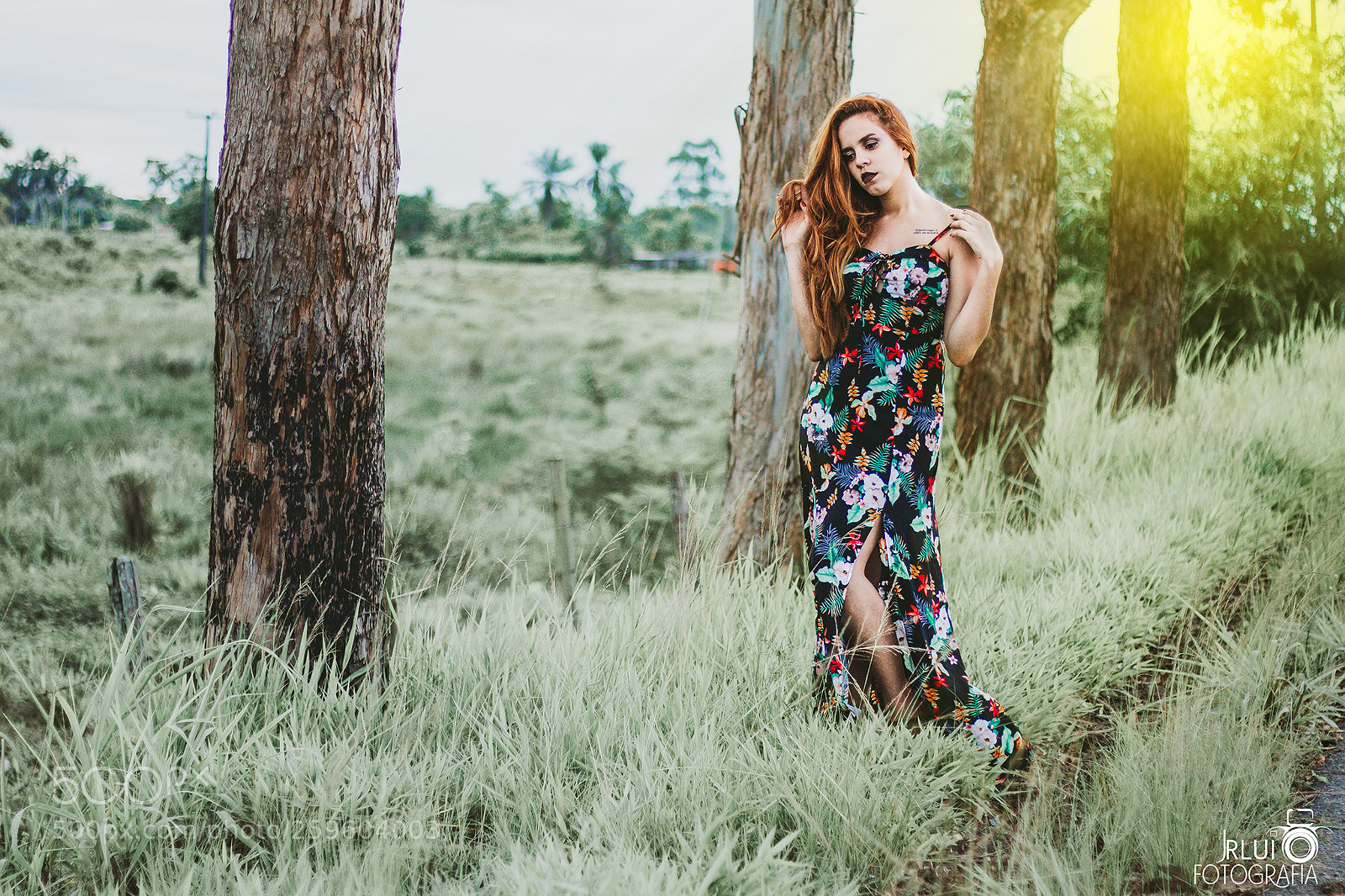 Canon EOS 700D (EOS Rebel T5i / EOS Kiss X7i) sample photo. Isabela dias photography