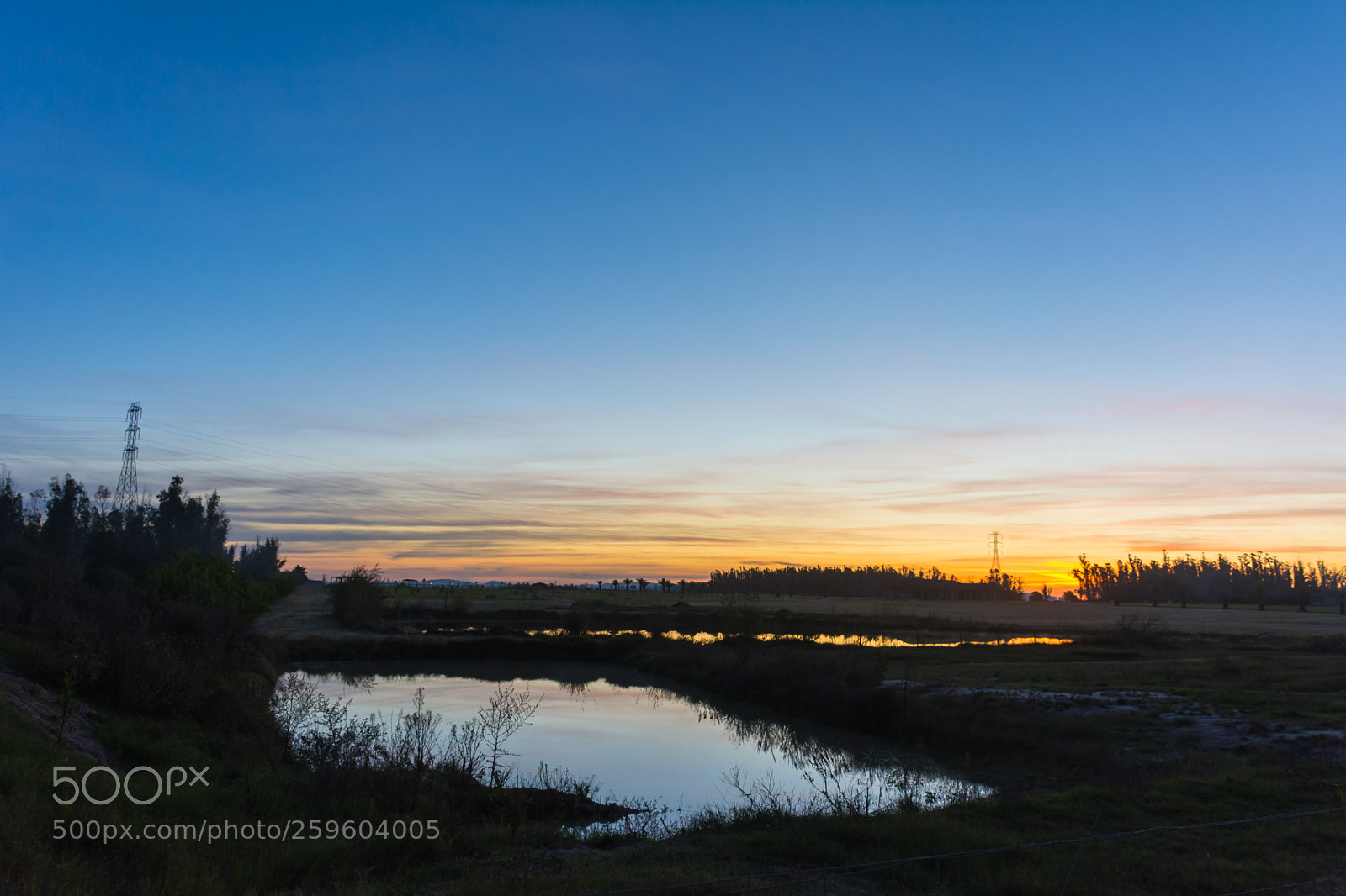 Nikon D7100 sample photo. Field of uruguay at photography