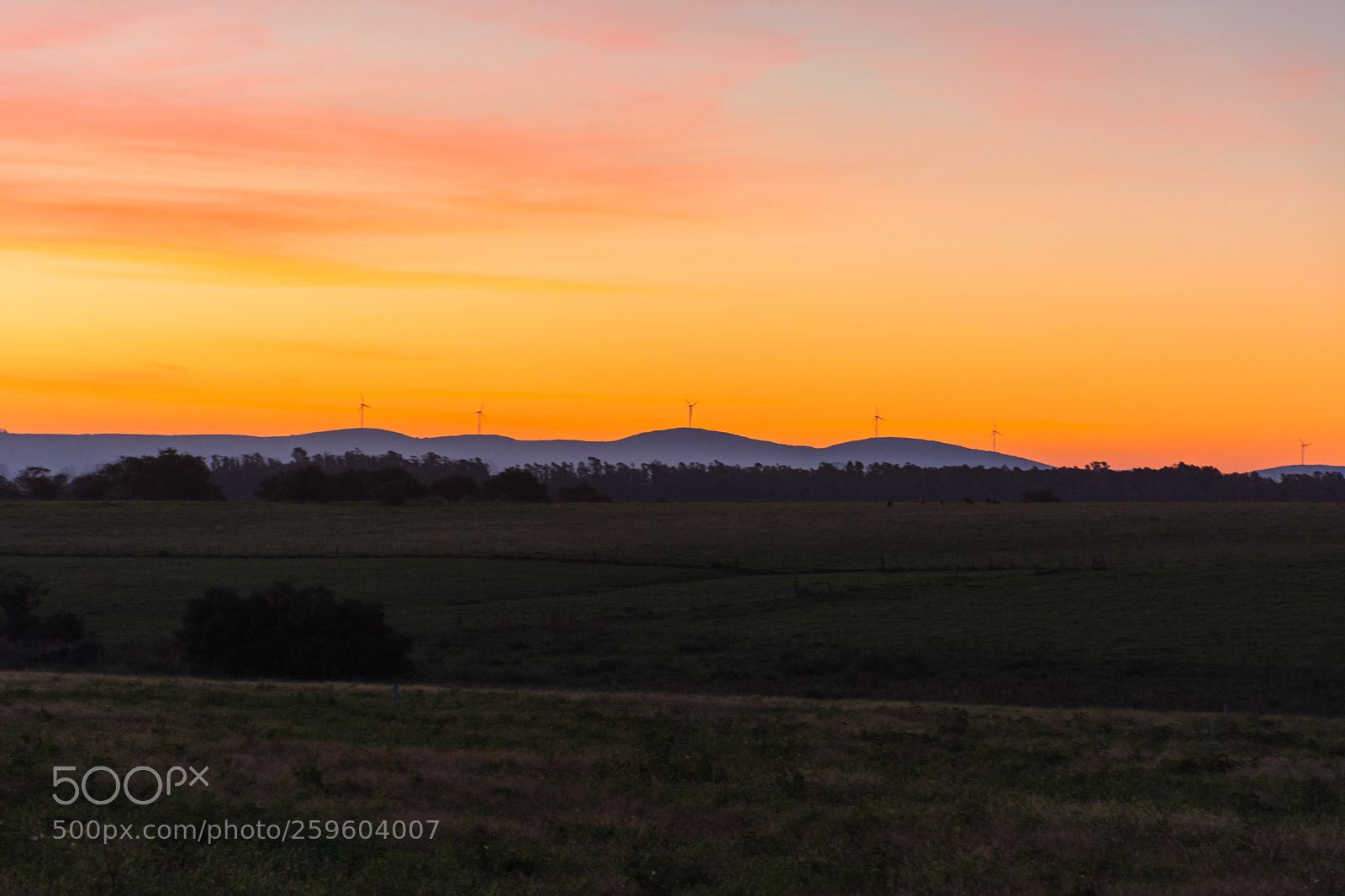 Nikon D7100 sample photo. Field of uruguay at photography