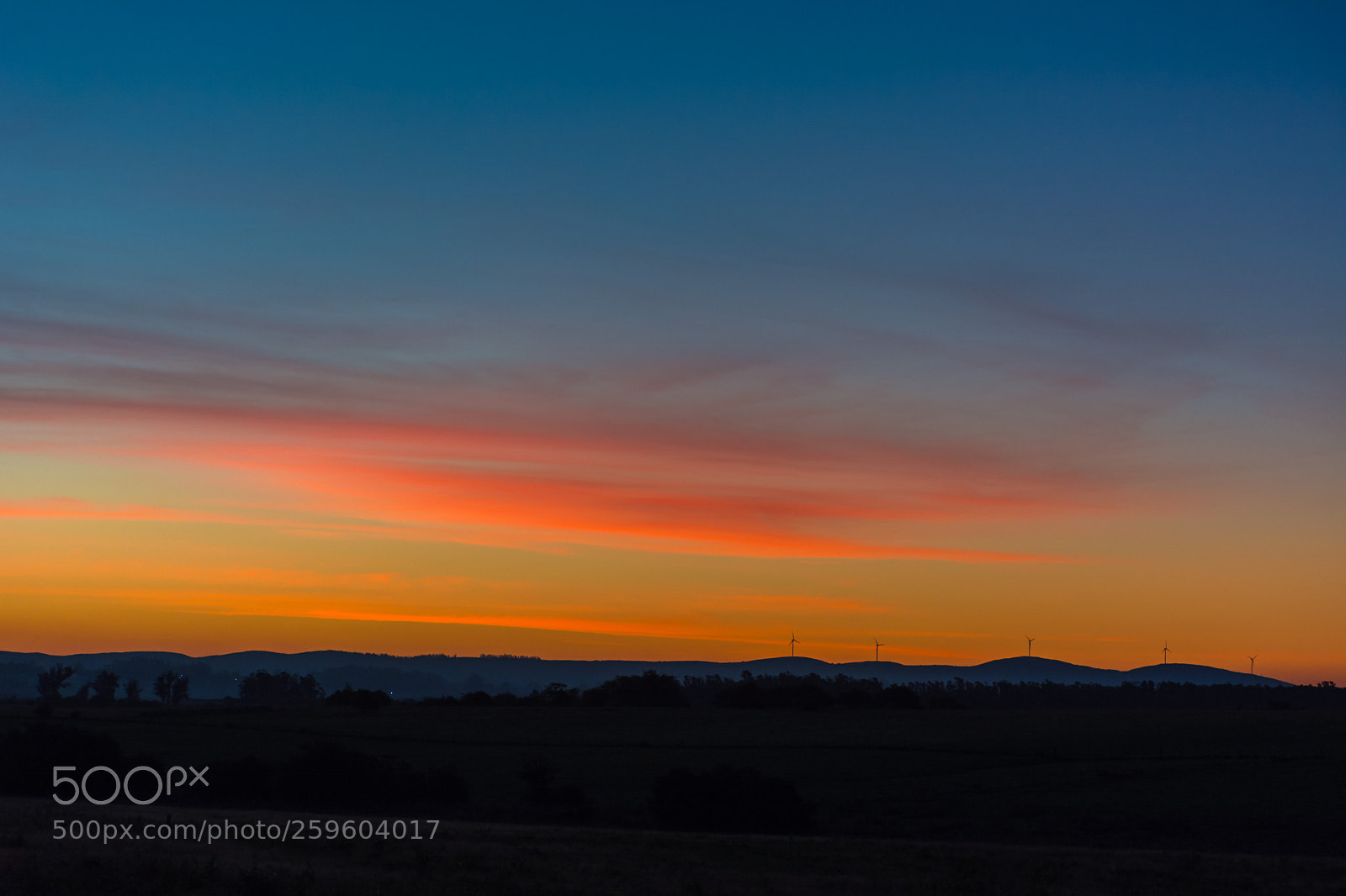 Nikon D7100 sample photo. Field of uruguay at photography