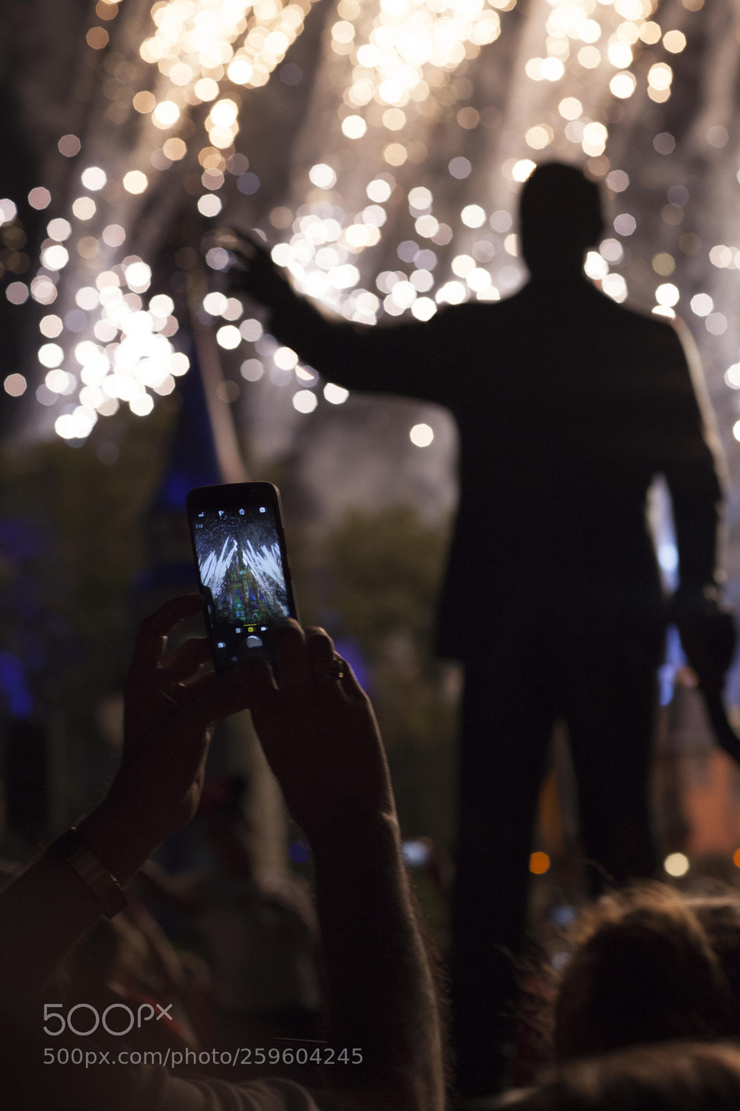Canon EOS 5D Mark II sample photo. Happily ever after photography
