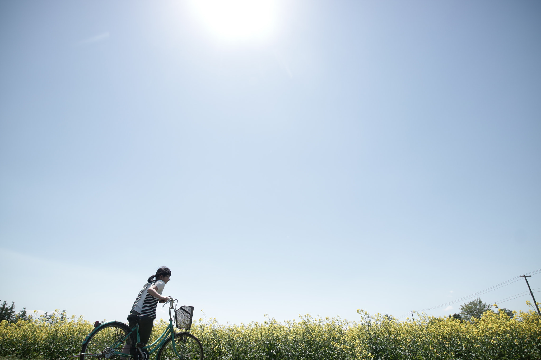 Canon EOS M3 + Canon EF-M 11-22mm F4-5.6 IS STM sample photo. Fine day photography