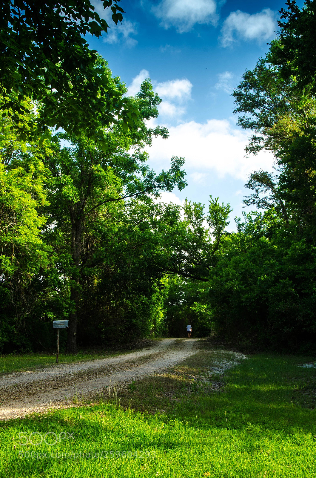 Nikon D7000 sample photo. Round the bend photography