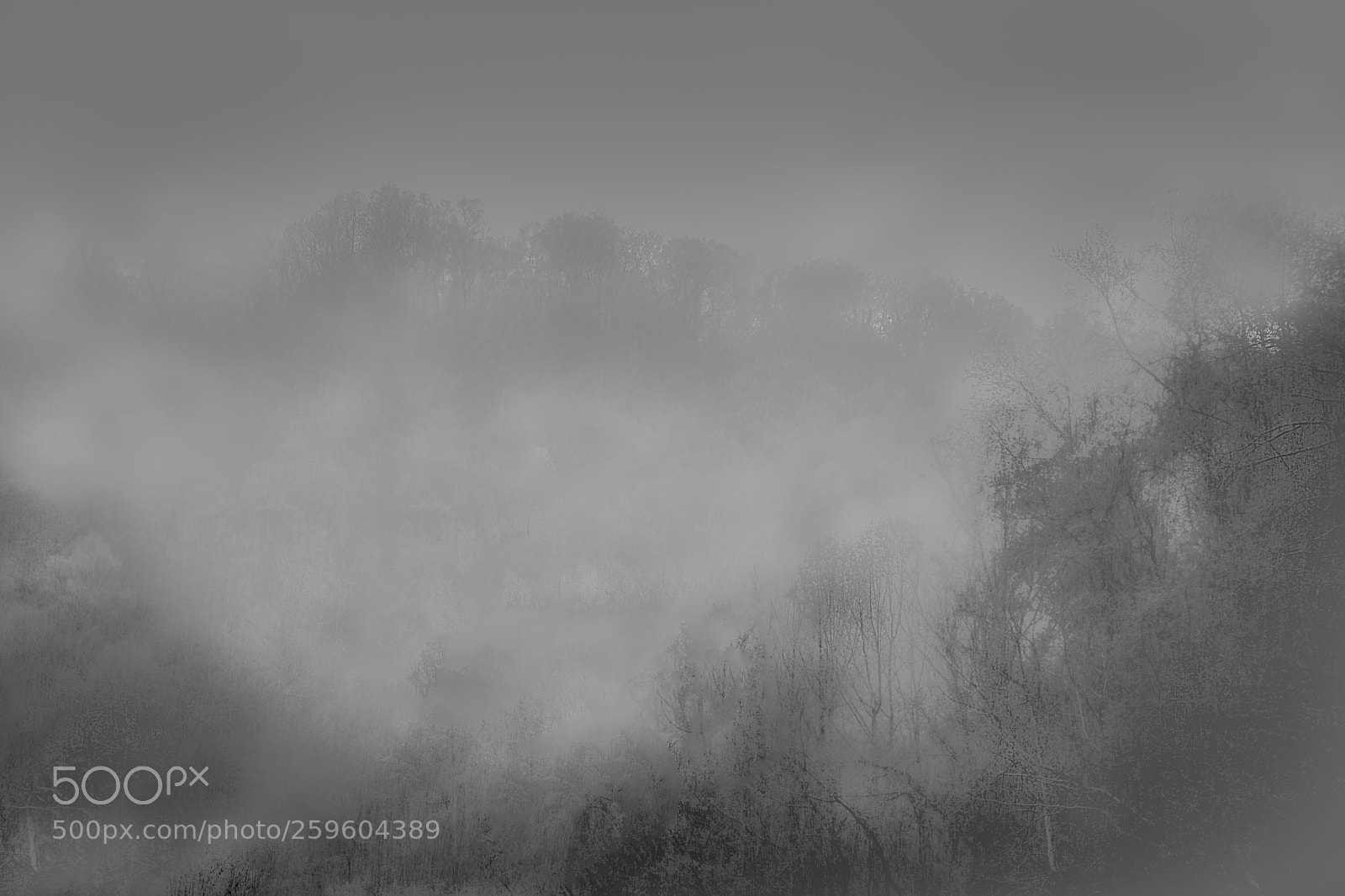 Nikon D7100 sample photo. Fog photography