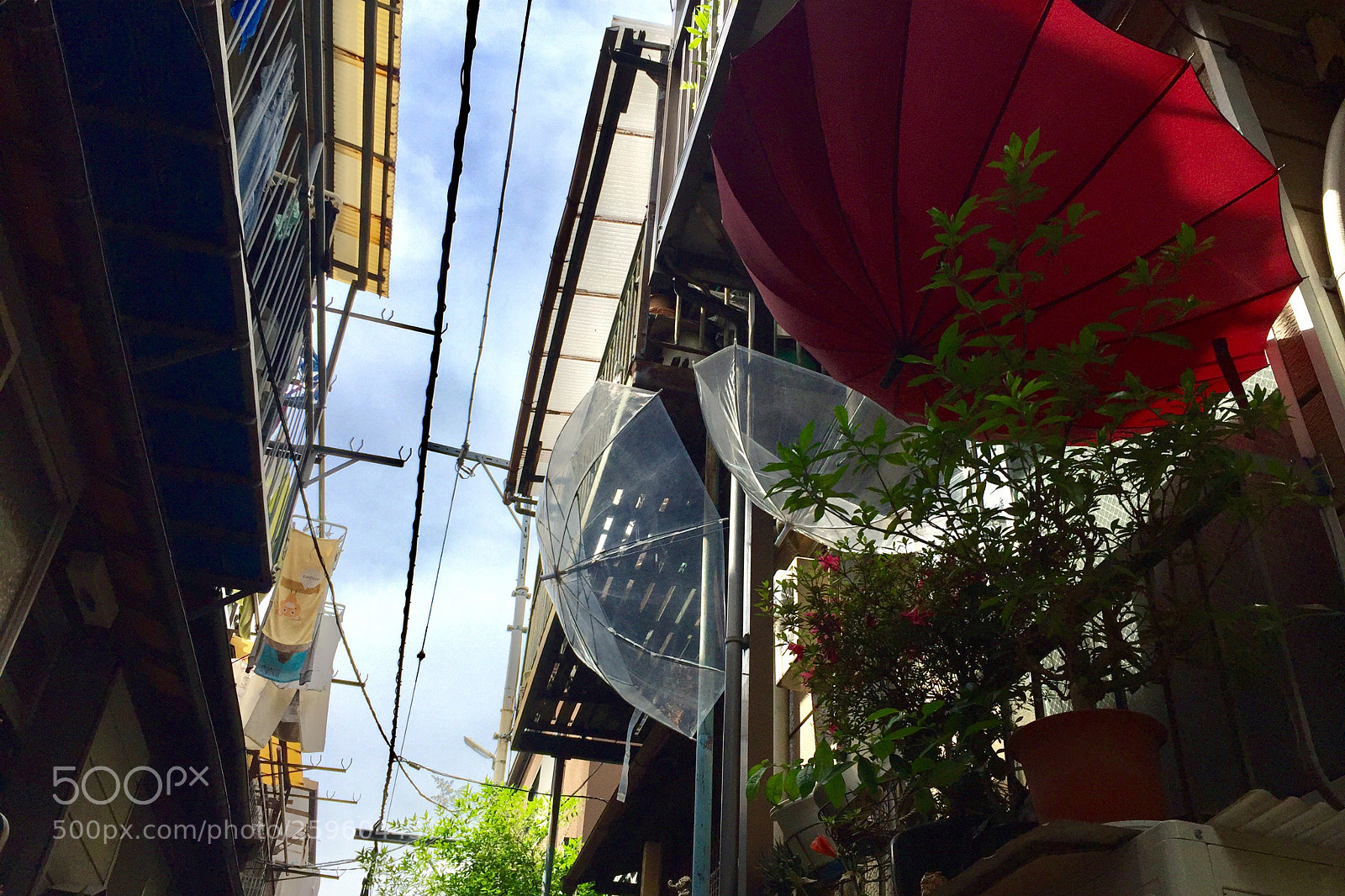 Apple iPhone 6 sample photo. After the rain in photography