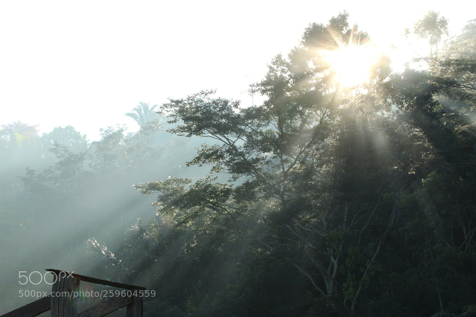 Canon EOS 1300D (EOS Rebel T6 / EOS Kiss X80) sample photo. New day... photography