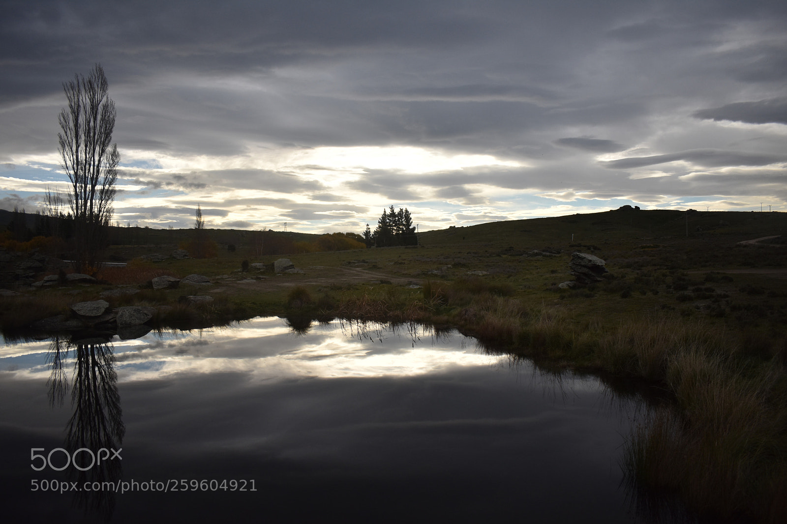 Nikon D3400 sample photo. Afternoon refection photography