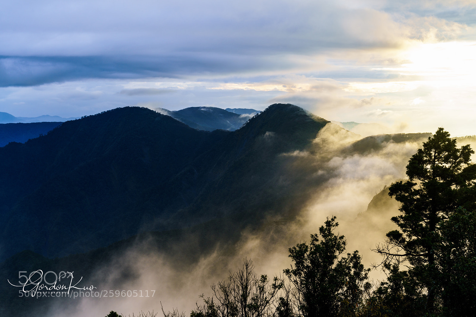 Sony a7R II sample photo. Rise photography