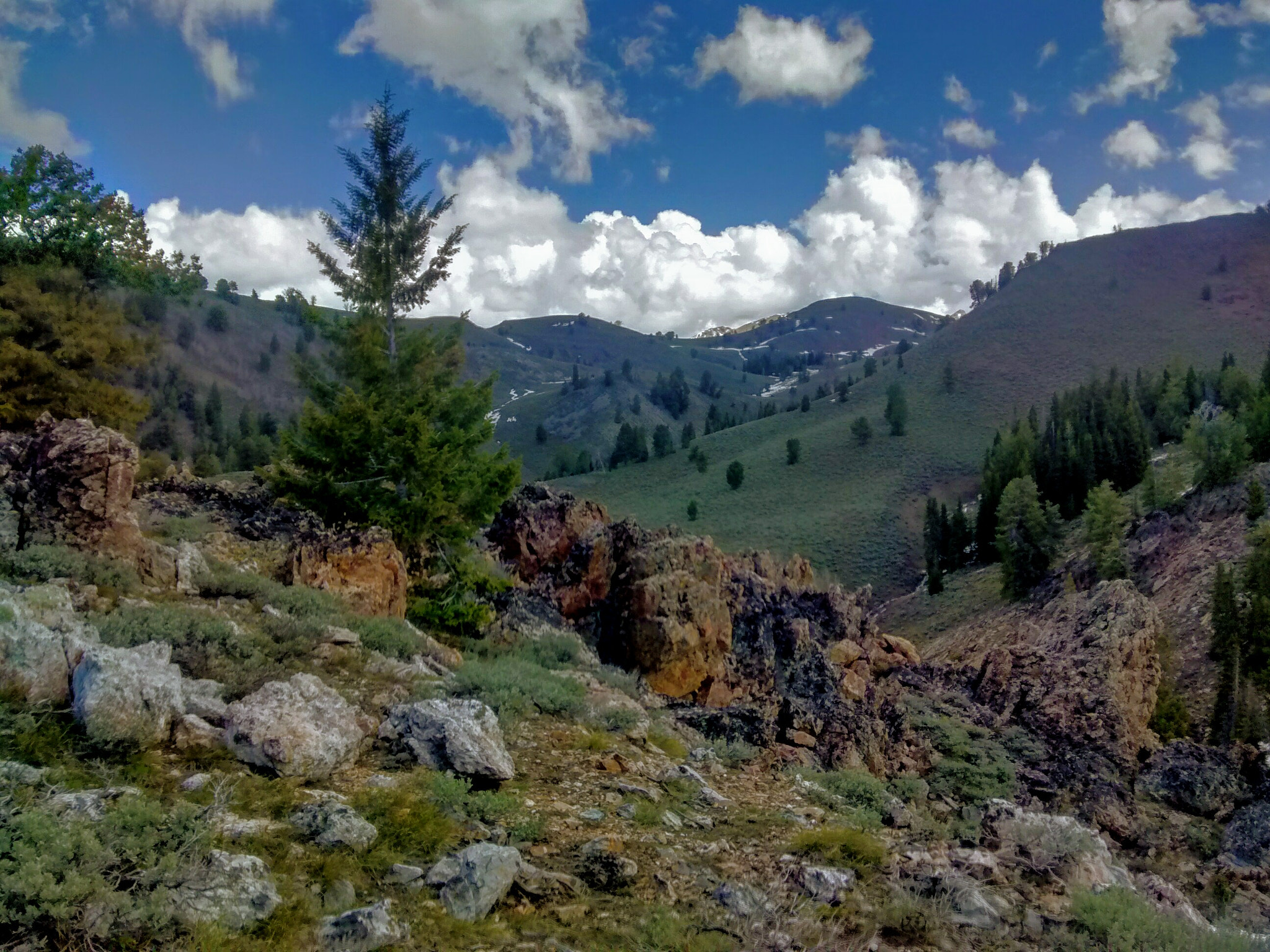Motorola Moto G (1st Gen) sample photo. Looking uptrail to pioneer cabin photography