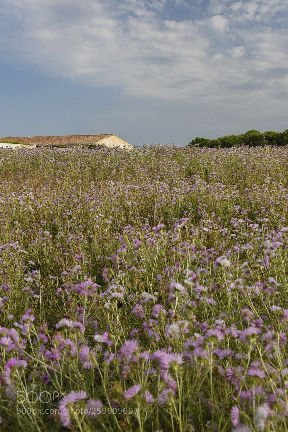 Nikon D750 sample photo. Menorca photography