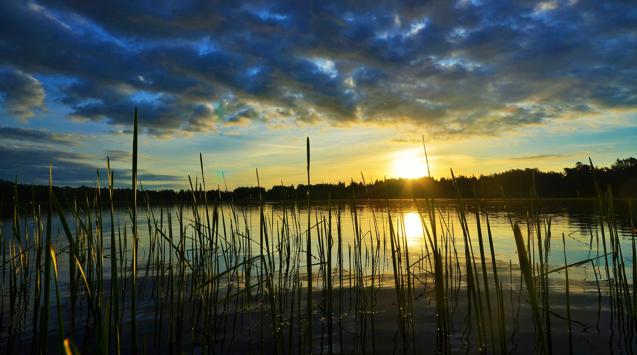 Sigma 10-20mm F4-5.6 EX DC HSM sample photo. Kayaking amongst the reeds photography
