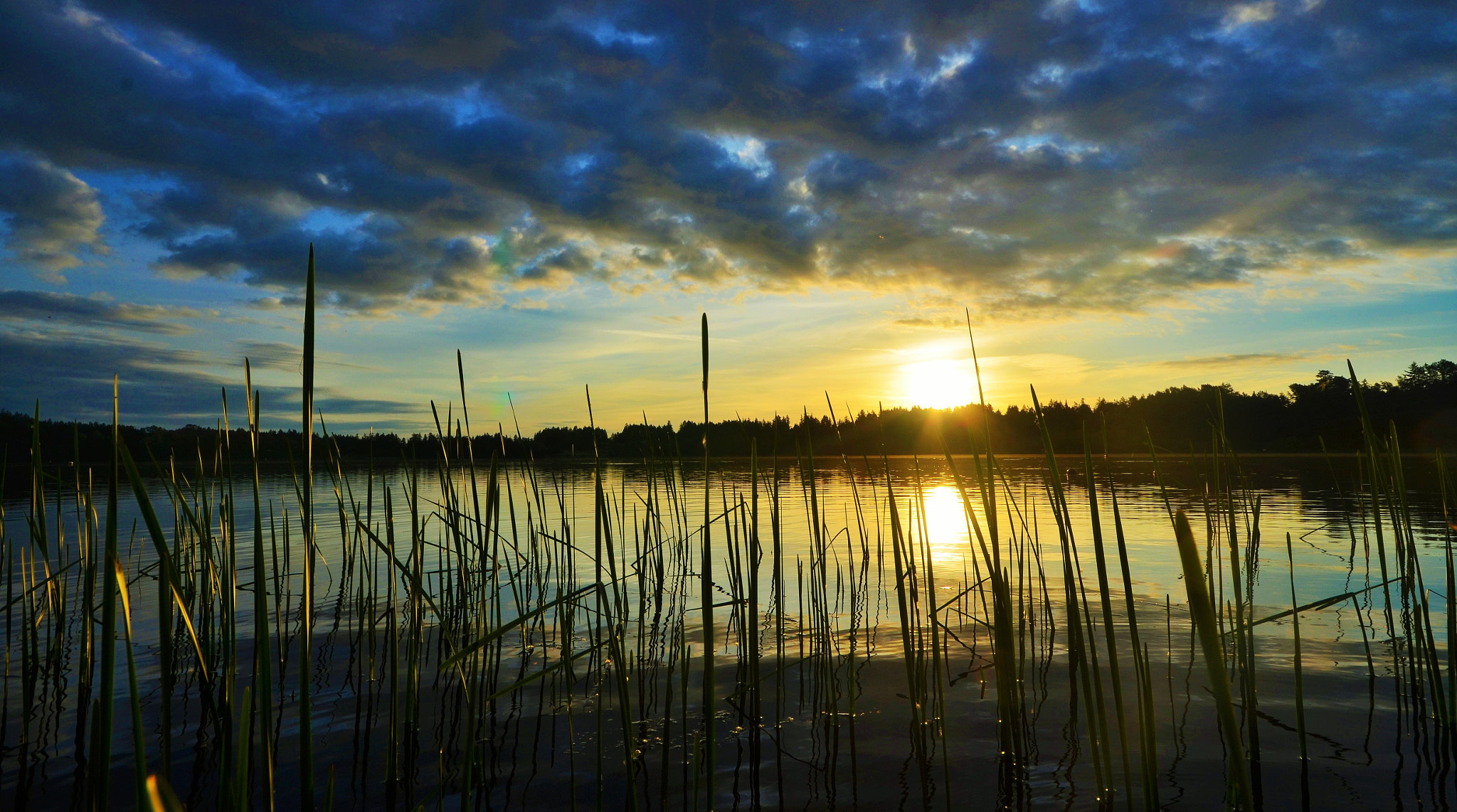 Nikon D7000 + Sigma 10-20mm F4-5.6 EX DC HSM sample photo. Kayaking amongst the reeds photography