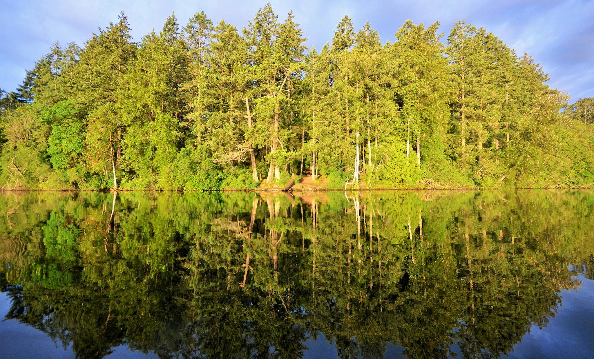 Nikon D7000 sample photo. Mirror reflections of the lakes edge photography
