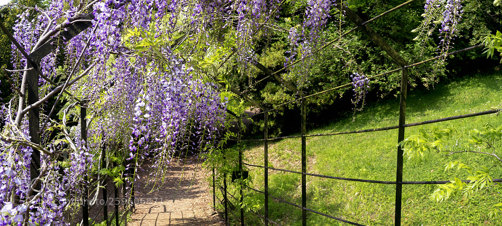 Nikon D3100 sample photo. Blenheim palace photography
