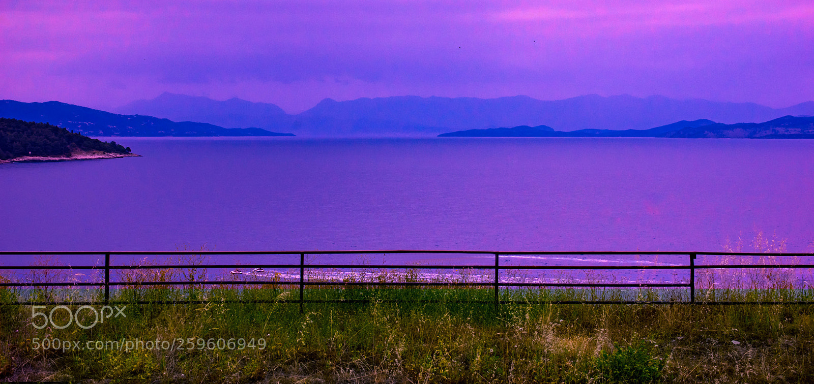 Pentax K-3 sample photo. Purple haze photography