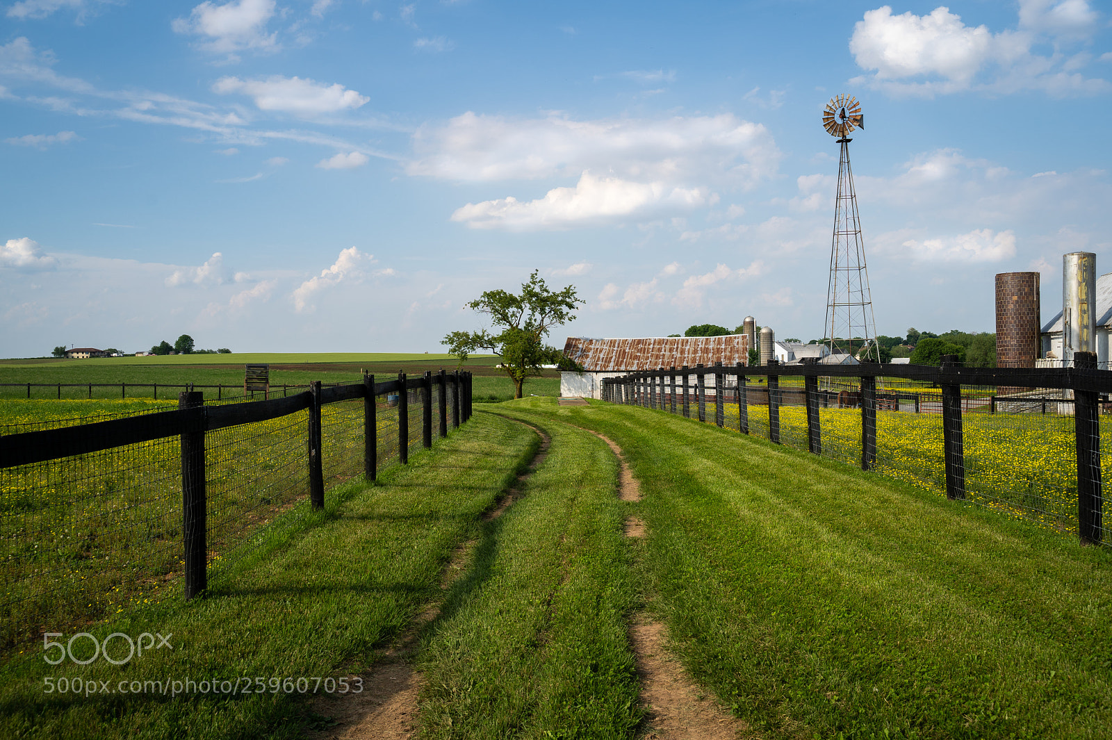 Sony a7 III sample photo. Dsc photography