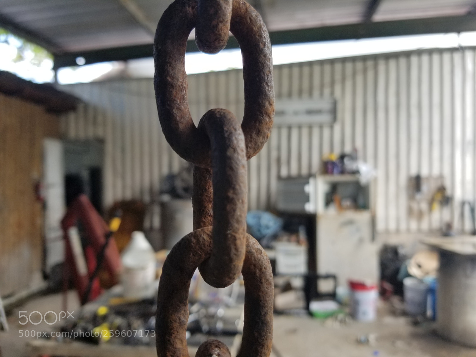 Samsung Galaxy S8+ sample photo. Untitled photography