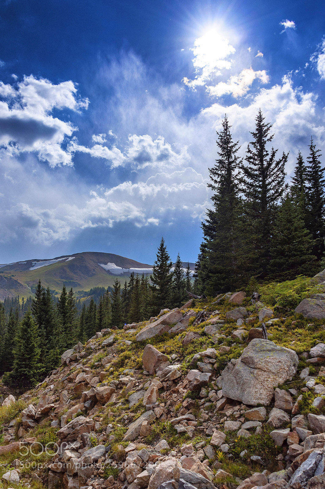 Nikon D750 sample photo. Alpine afternoon photography