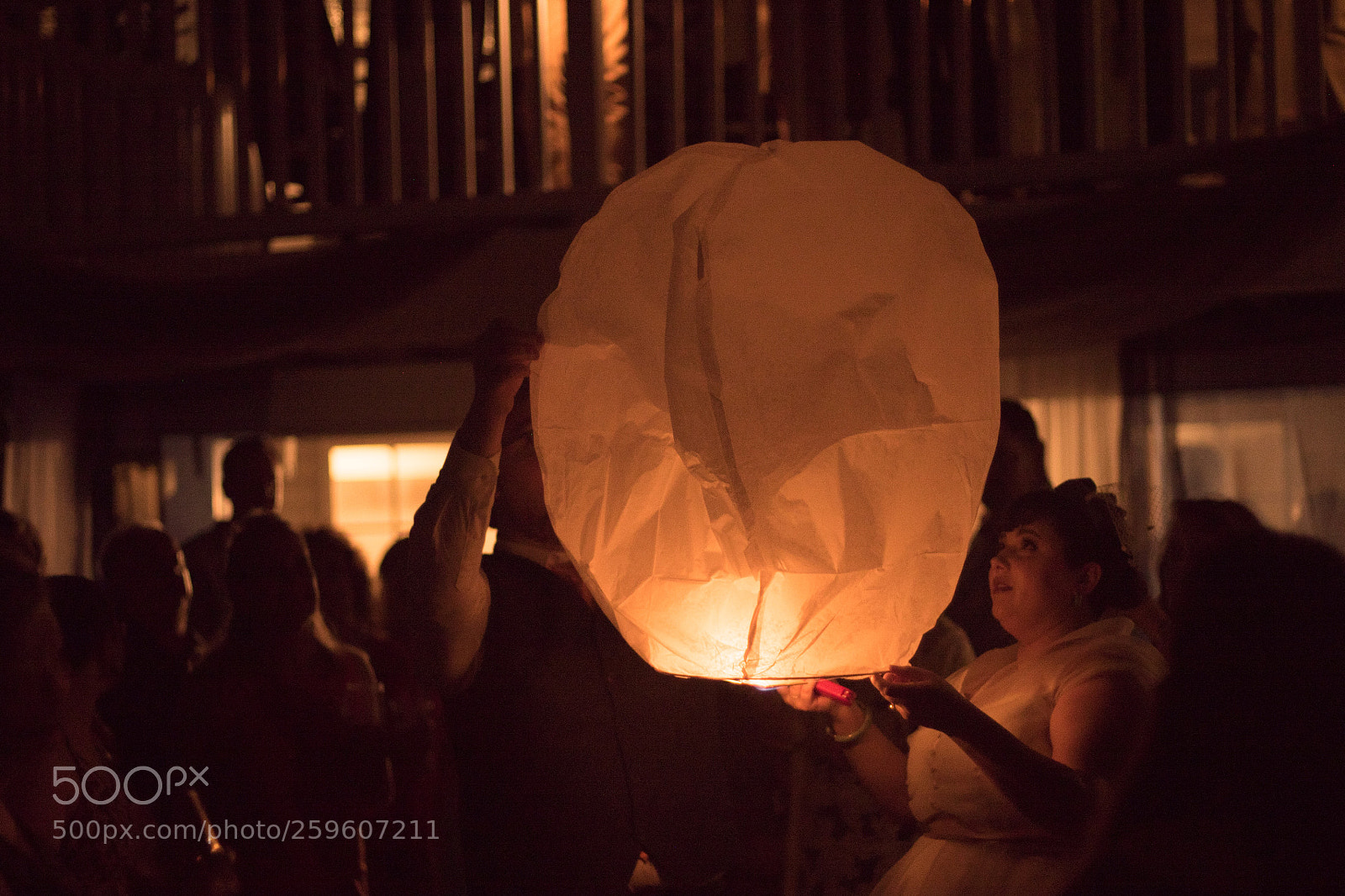 Nikon D750 sample photo. Untitled photography
