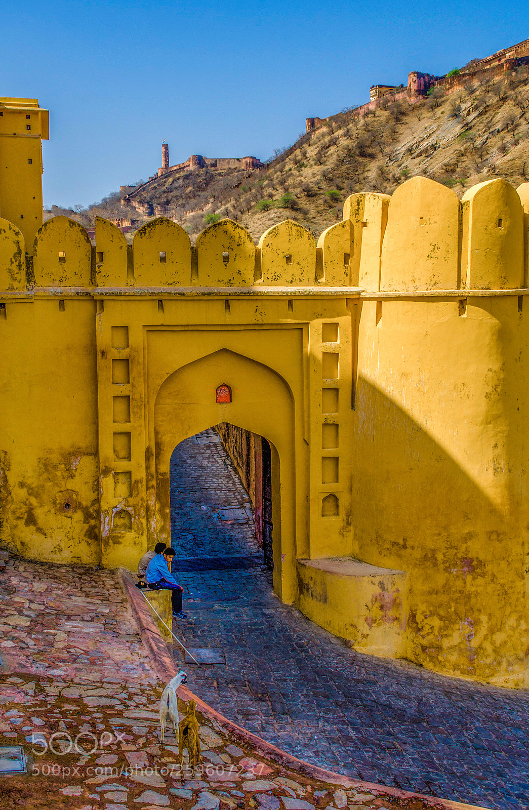 Nikon D7000 sample photo. Golden gate photography