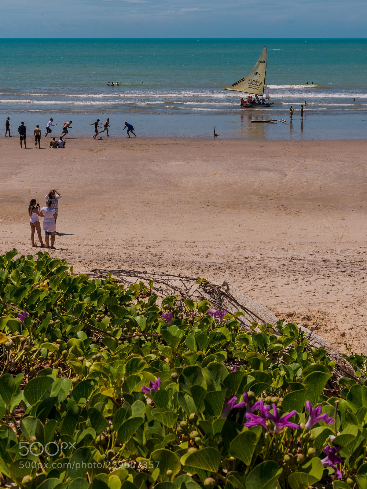 Nikon D750 sample photo. Enjoying the beach photography