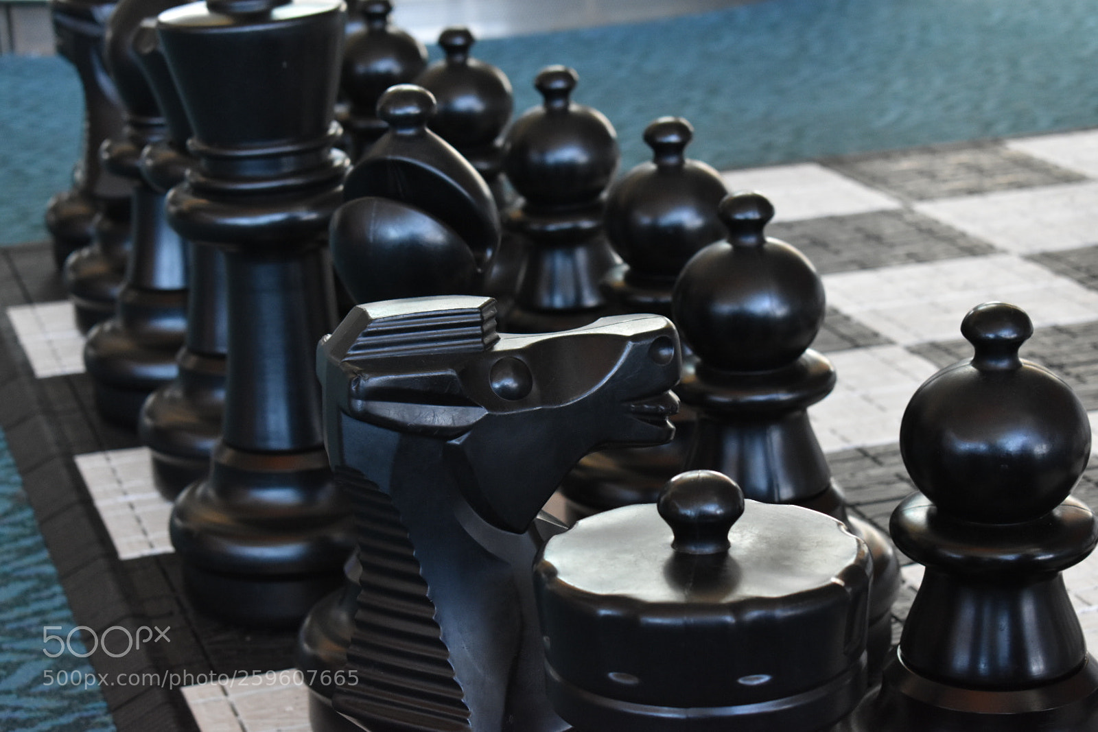 Nikon D3400 sample photo. Chess photography