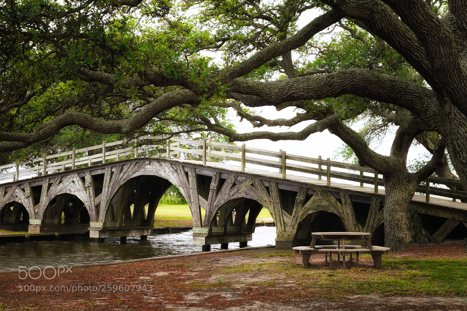 Sony a7R III sample photo. Bridge at the historic photography