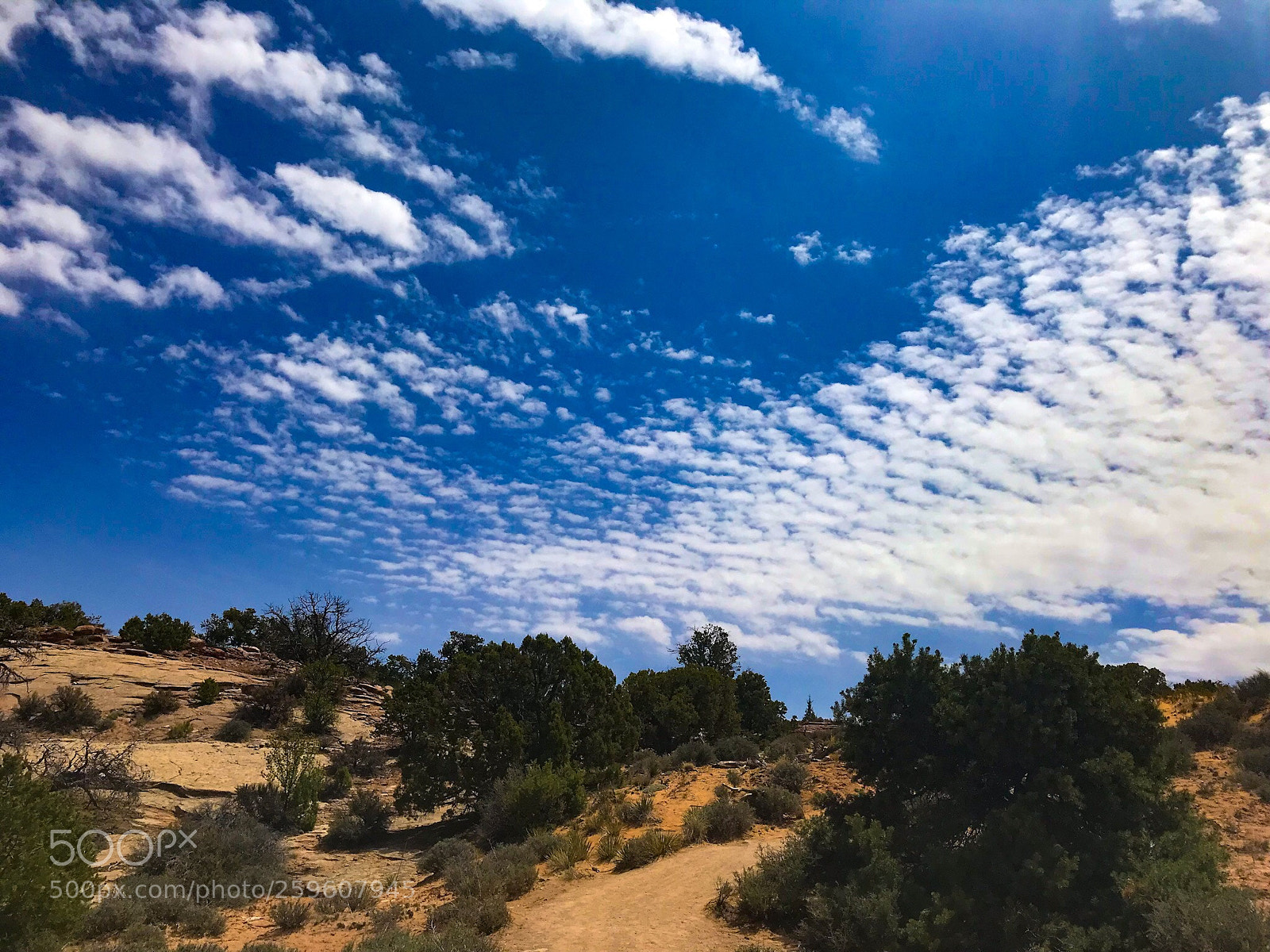 Apple iPhone 7 Plus sample photo. Beautiful sky  photography