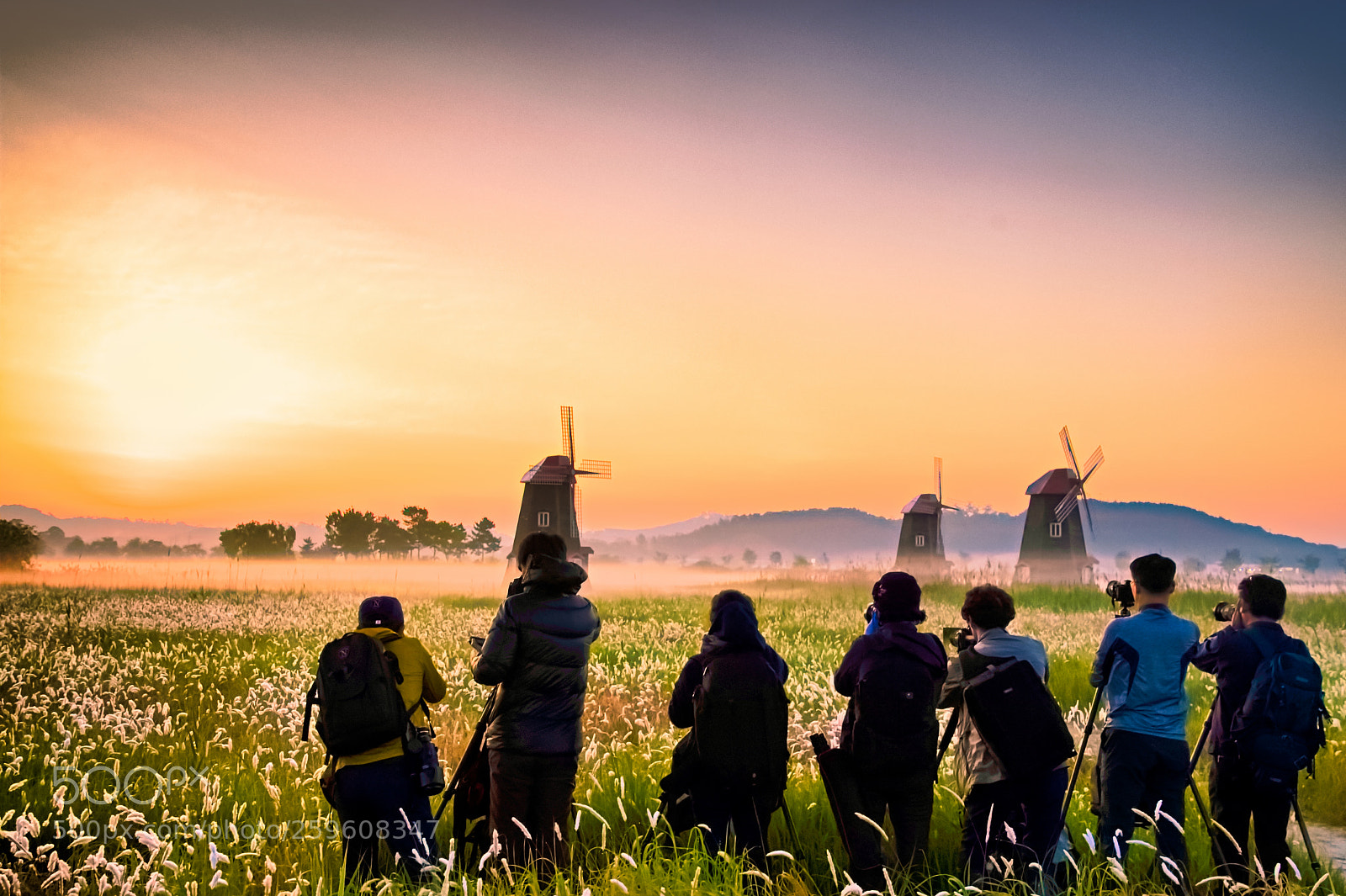 Nikon D500 sample photo. Sunrise photography