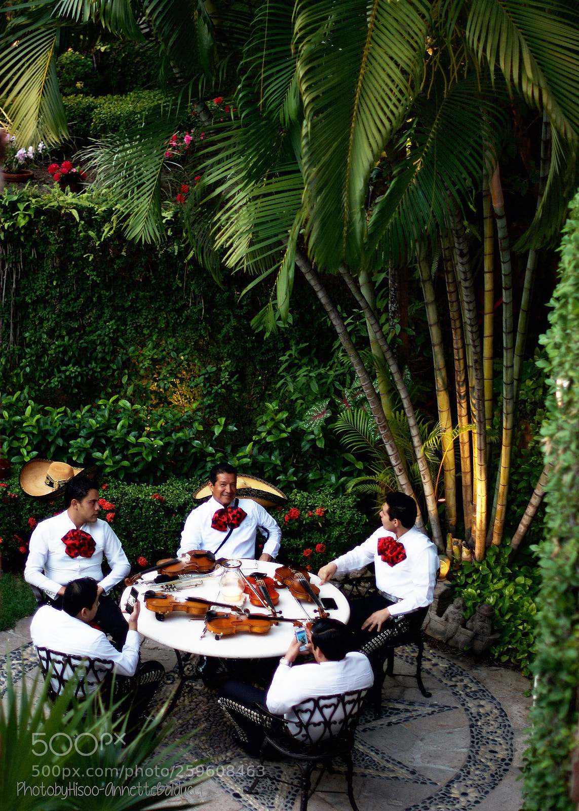 Nikon D800 sample photo. Mariachi photography