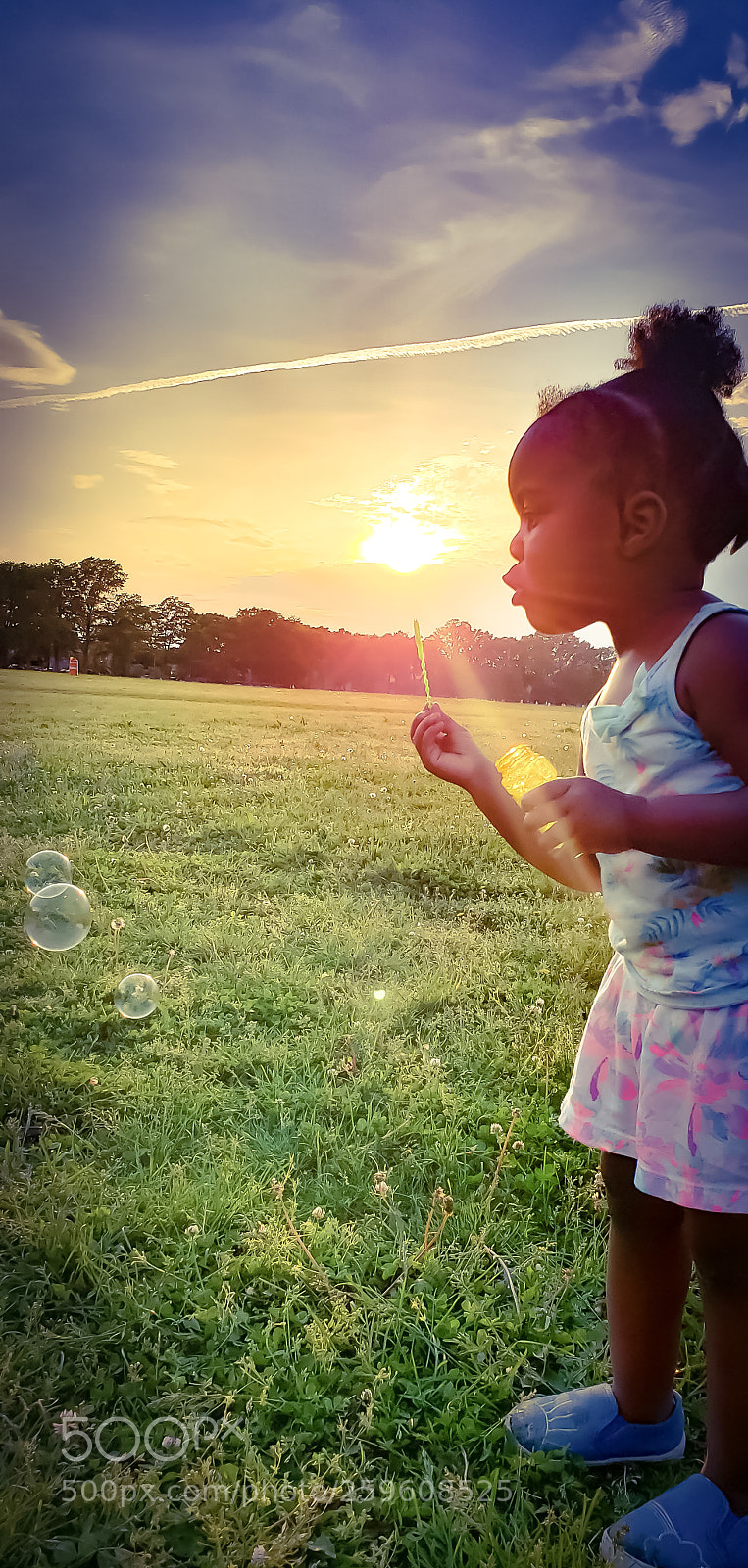 Samsung Galaxy S9+ sample photo. Untitled photography
