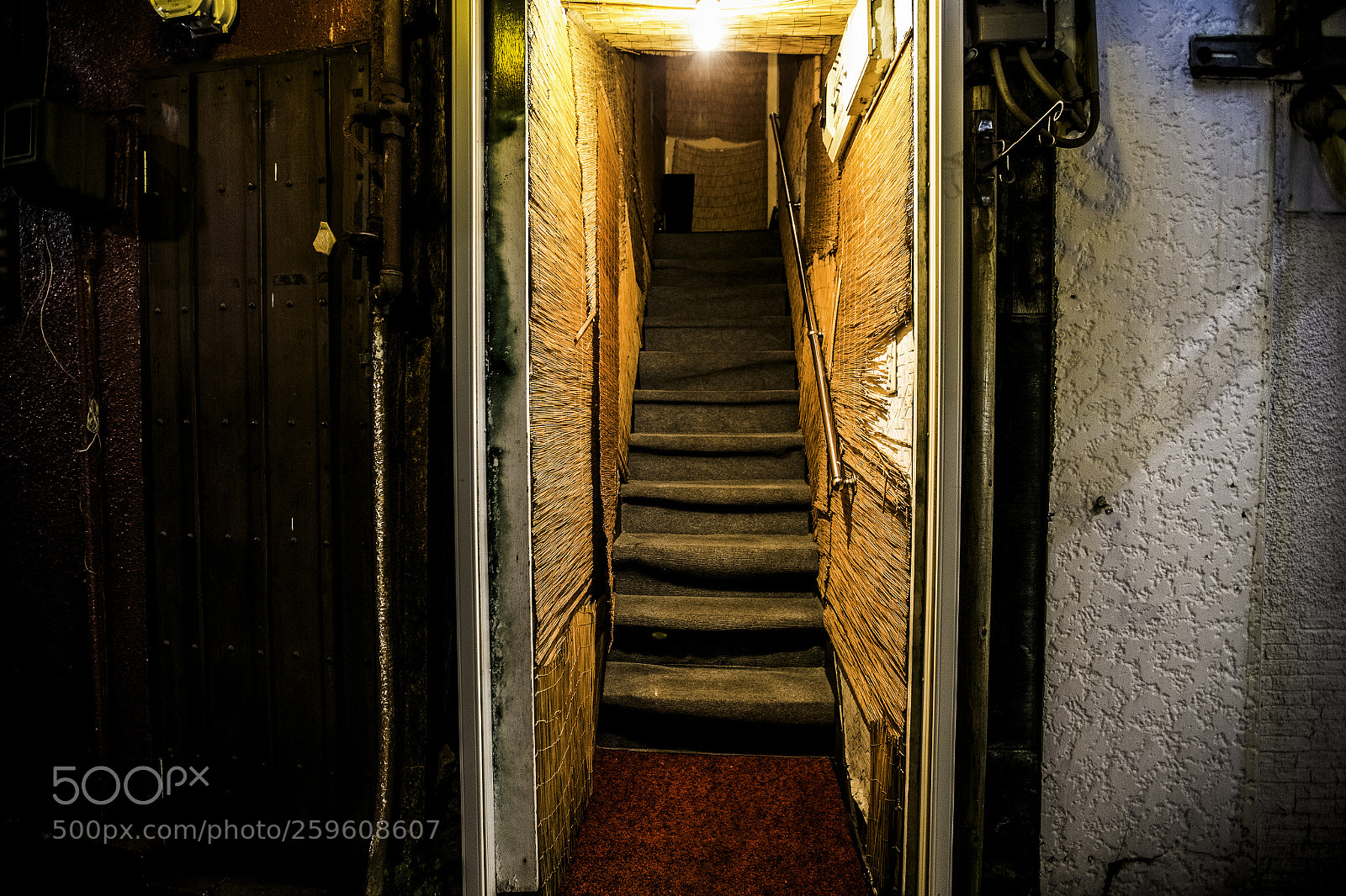 Canon EOS-1D X sample photo. Don't try this at photography