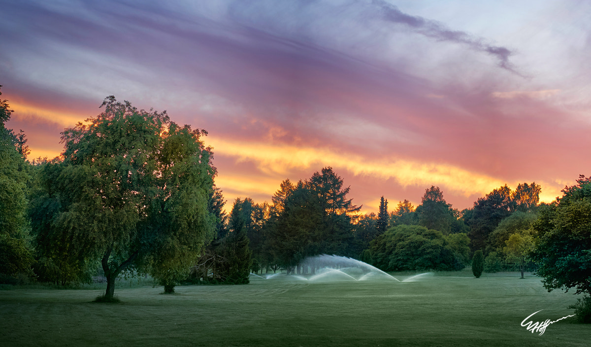Sony a7S sample photo. Golf course sunset photography