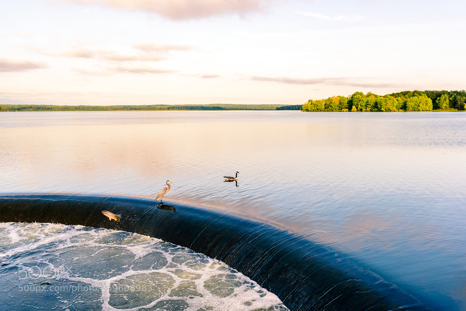 Nikon D750 sample photo. Pymatuning state park photography