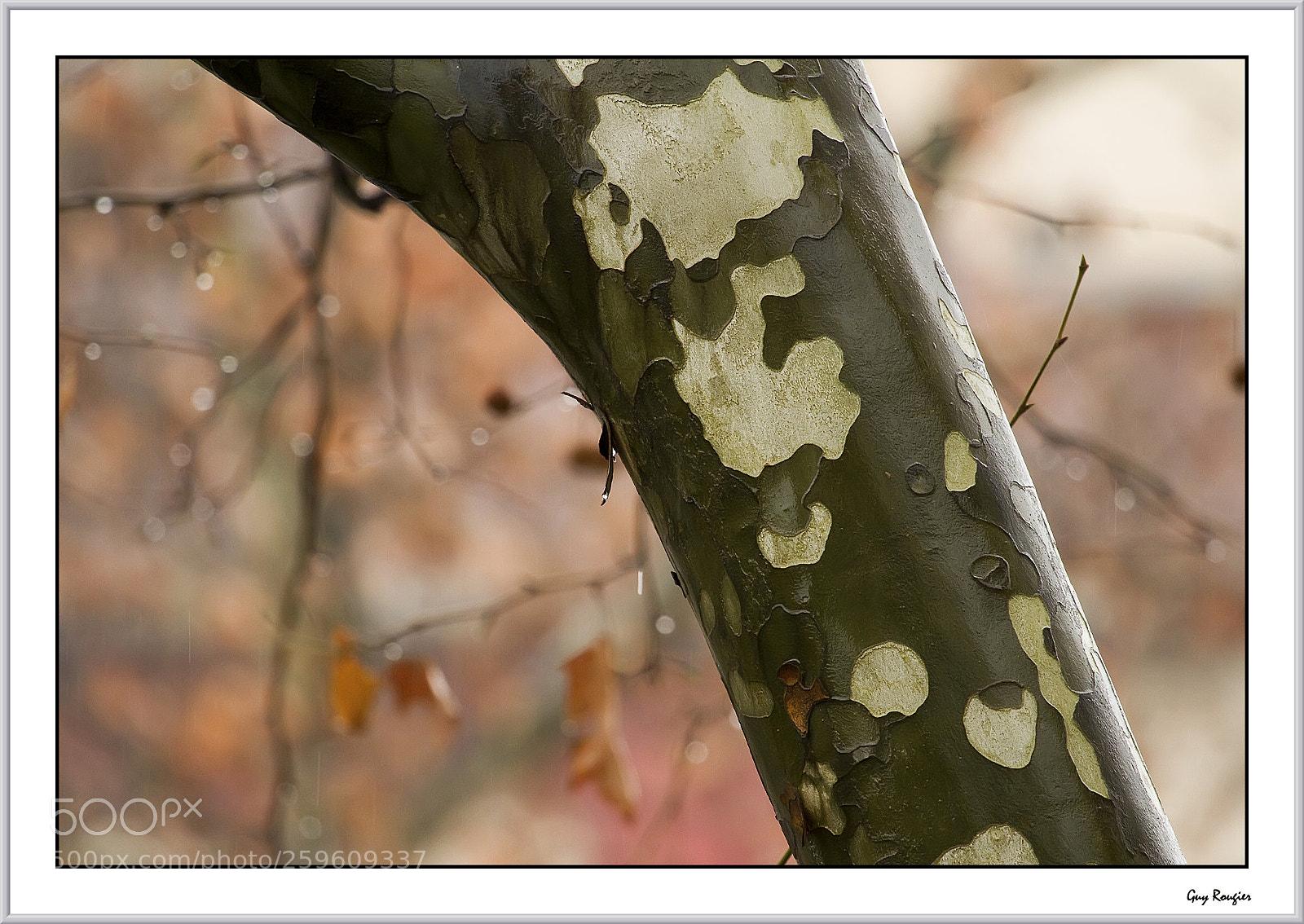 Canon EOS 7D sample photo. Temps humide photography
