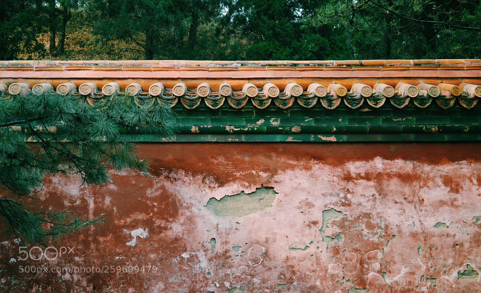 Nikon D3200 sample photo. Summer palace photography