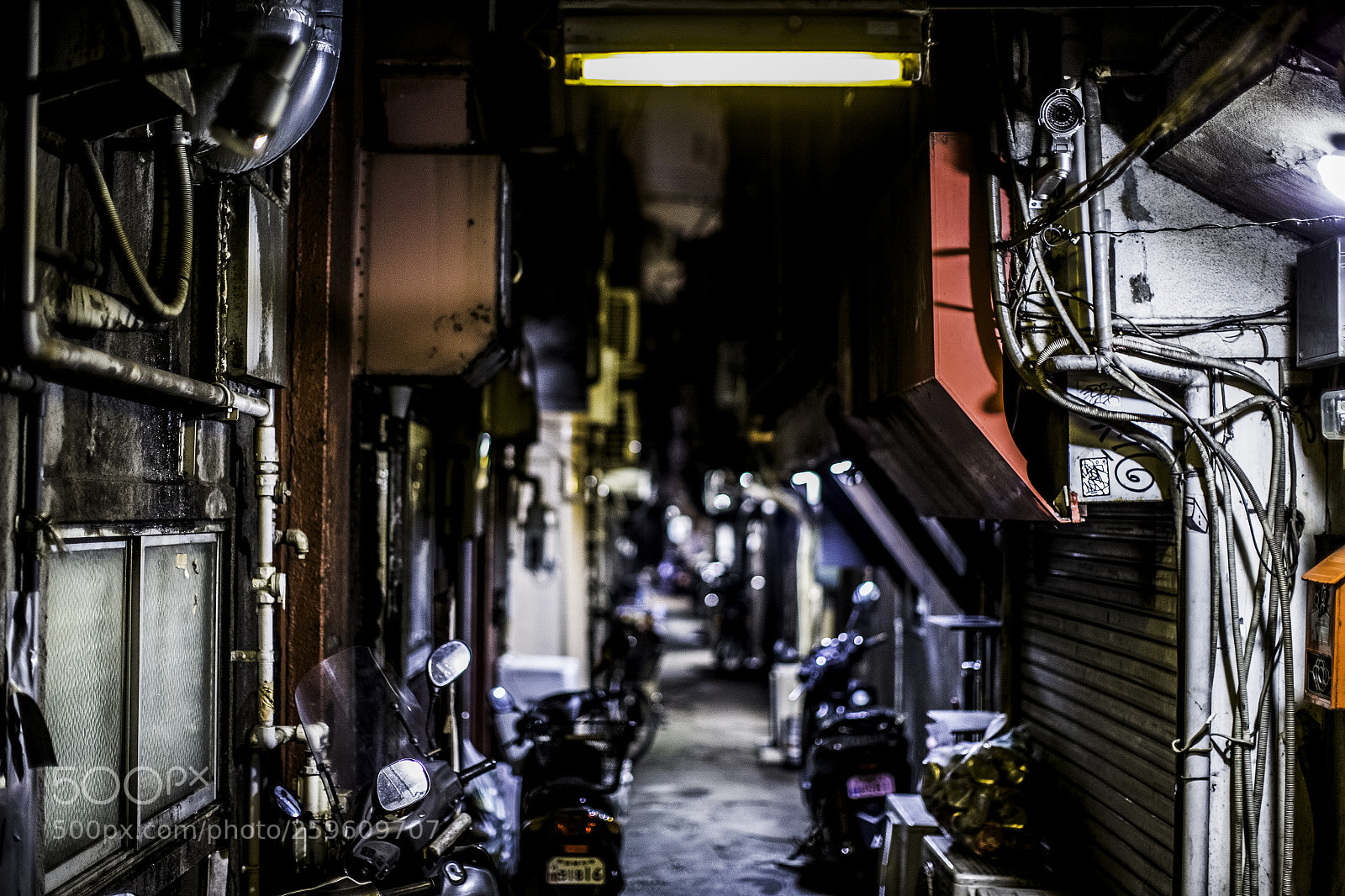 Canon EOS-1D X sample photo. In the alley photography