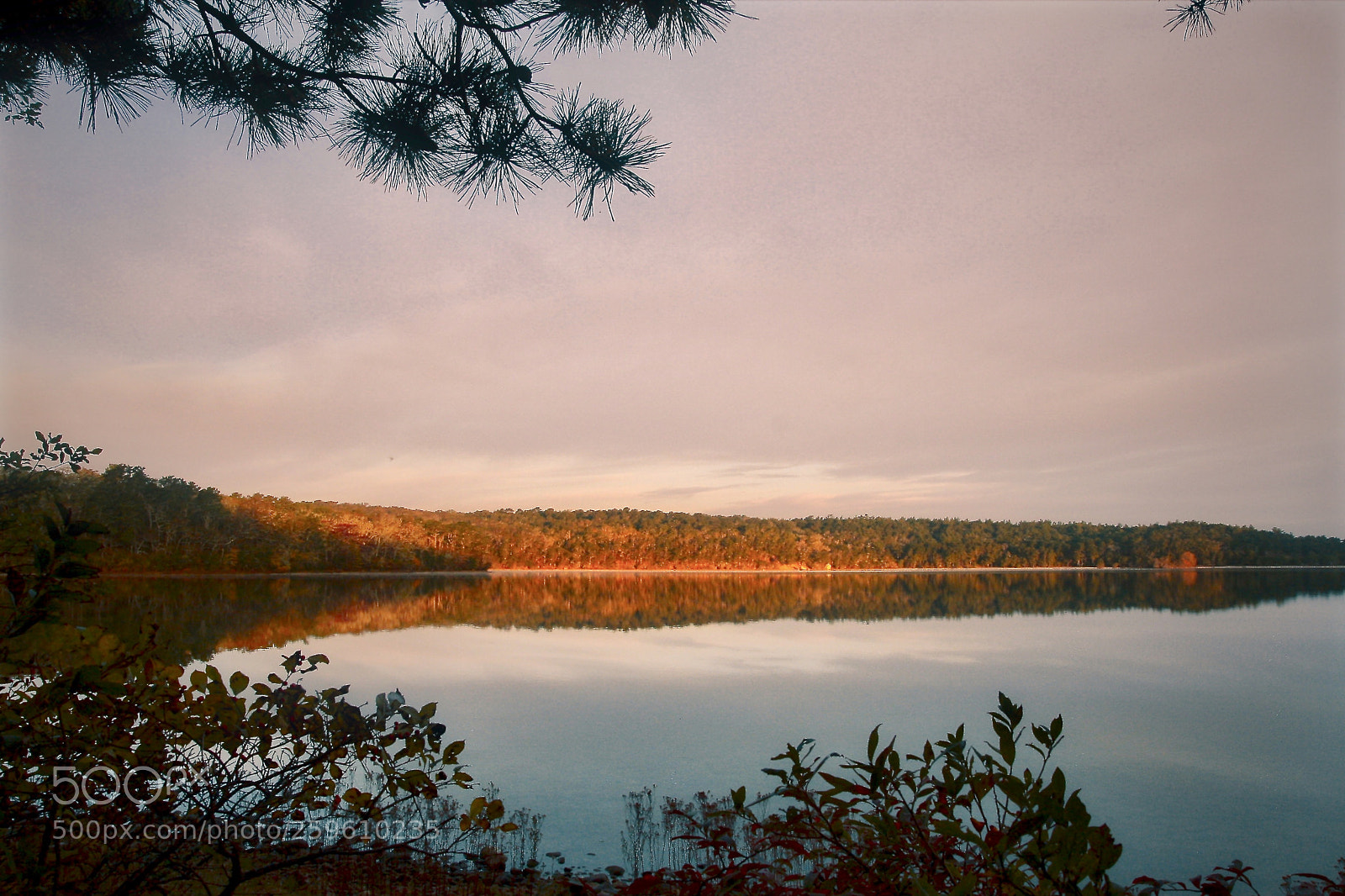 Canon EOS 40D sample photo. Reflection photography