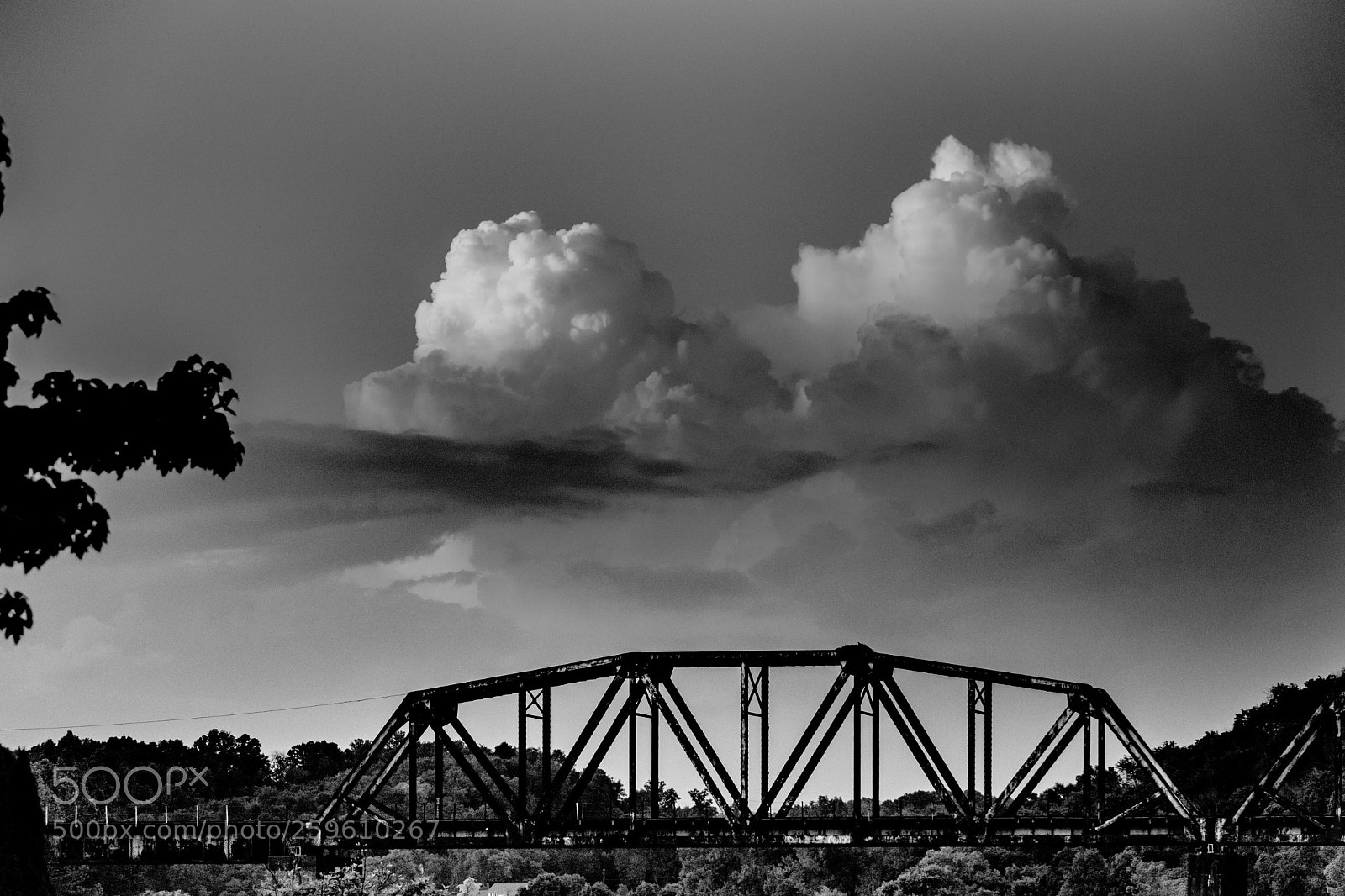 Nikon D500 sample photo. Untitled photography