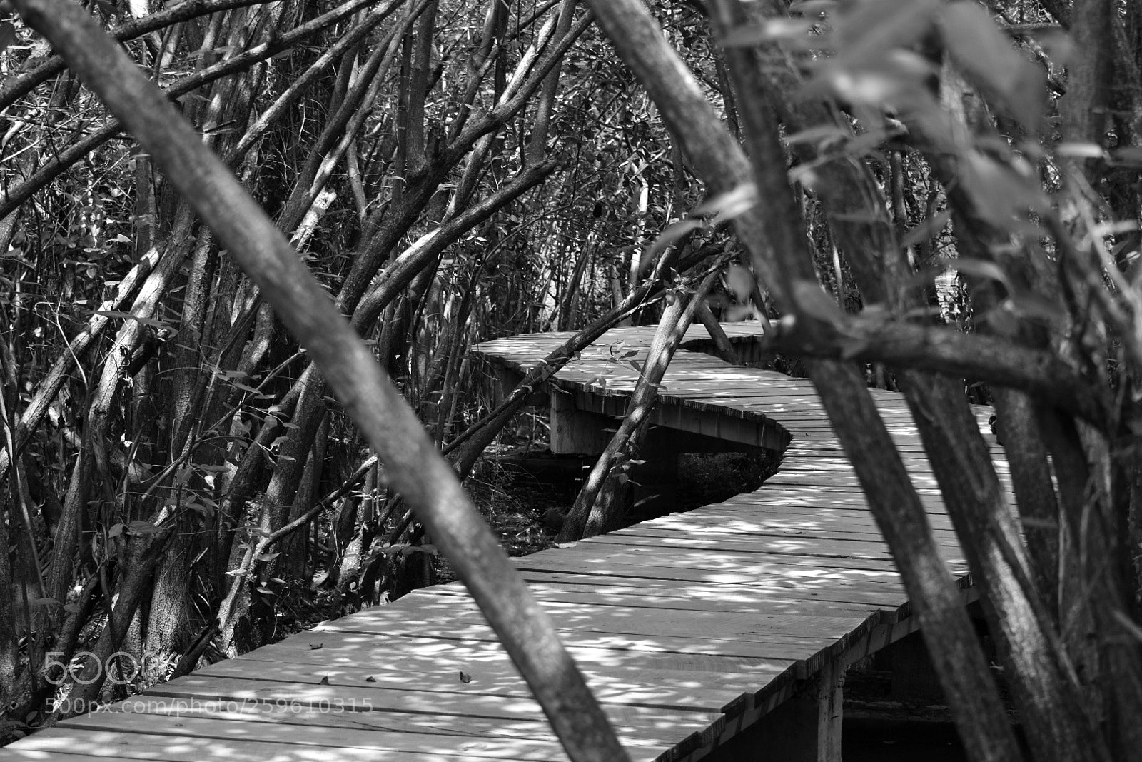Nikon D3400 sample photo. Untitled photography