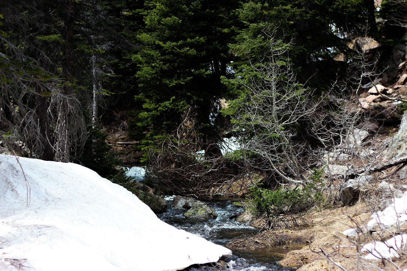Canon EOS 600D (Rebel EOS T3i / EOS Kiss X5) sample photo. Colorado, usa photography