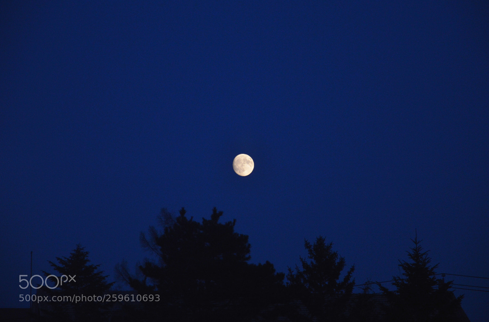 Nikon D3200 sample photo. 月色凉如水 photography