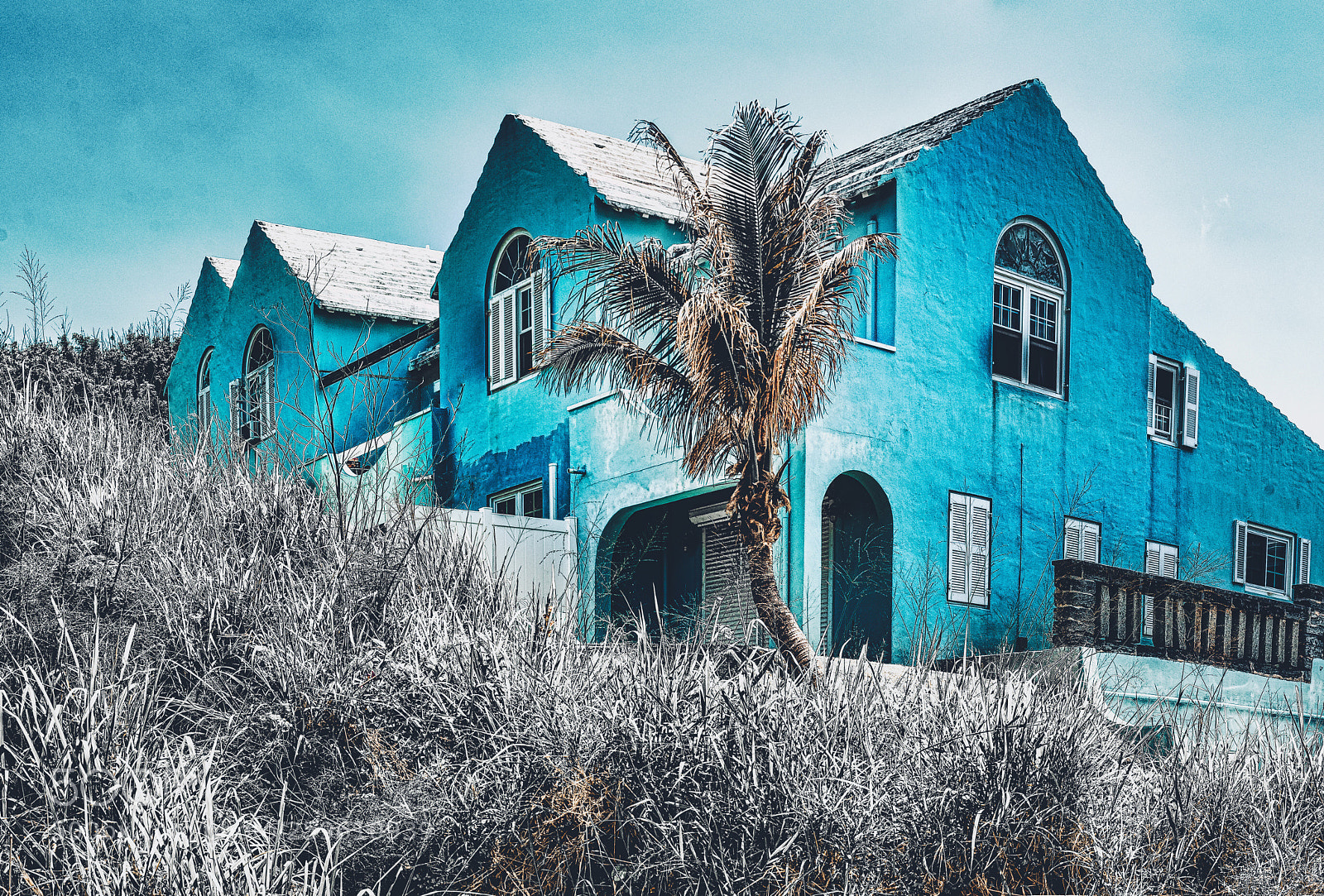 Nikon D750 sample photo. Blue house  photography