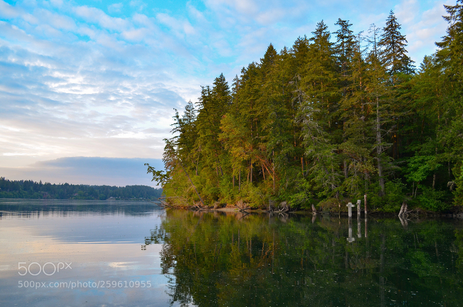 Nikon D5100 sample photo. Calm evening photography