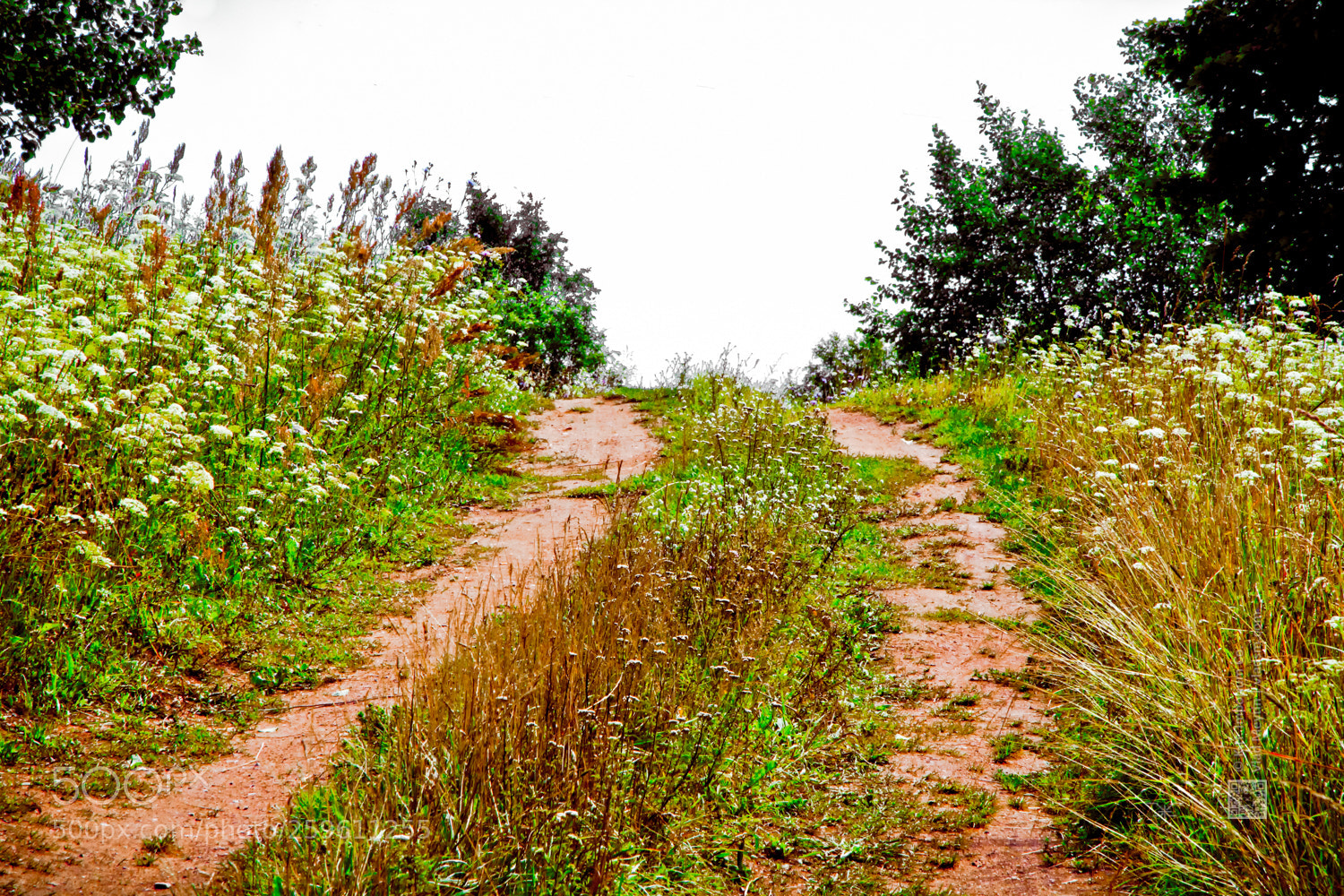 Canon EOS 500D (EOS Rebel T1i / EOS Kiss X3) sample photo. The road, russia vlad photography
