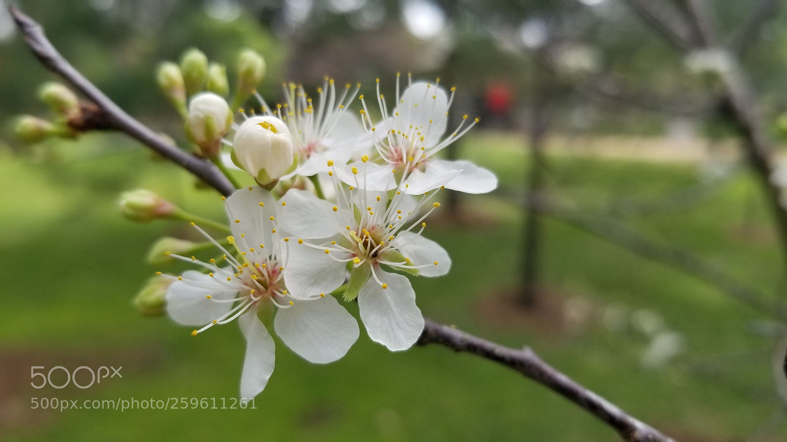 Samsung Galaxy S8+ sample photo. Untitled photography