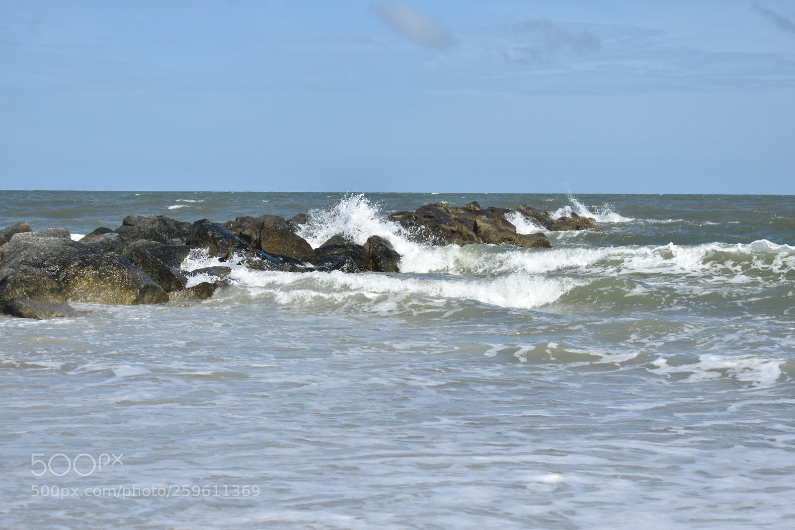 Nikon D3400 sample photo. Untitled photography
