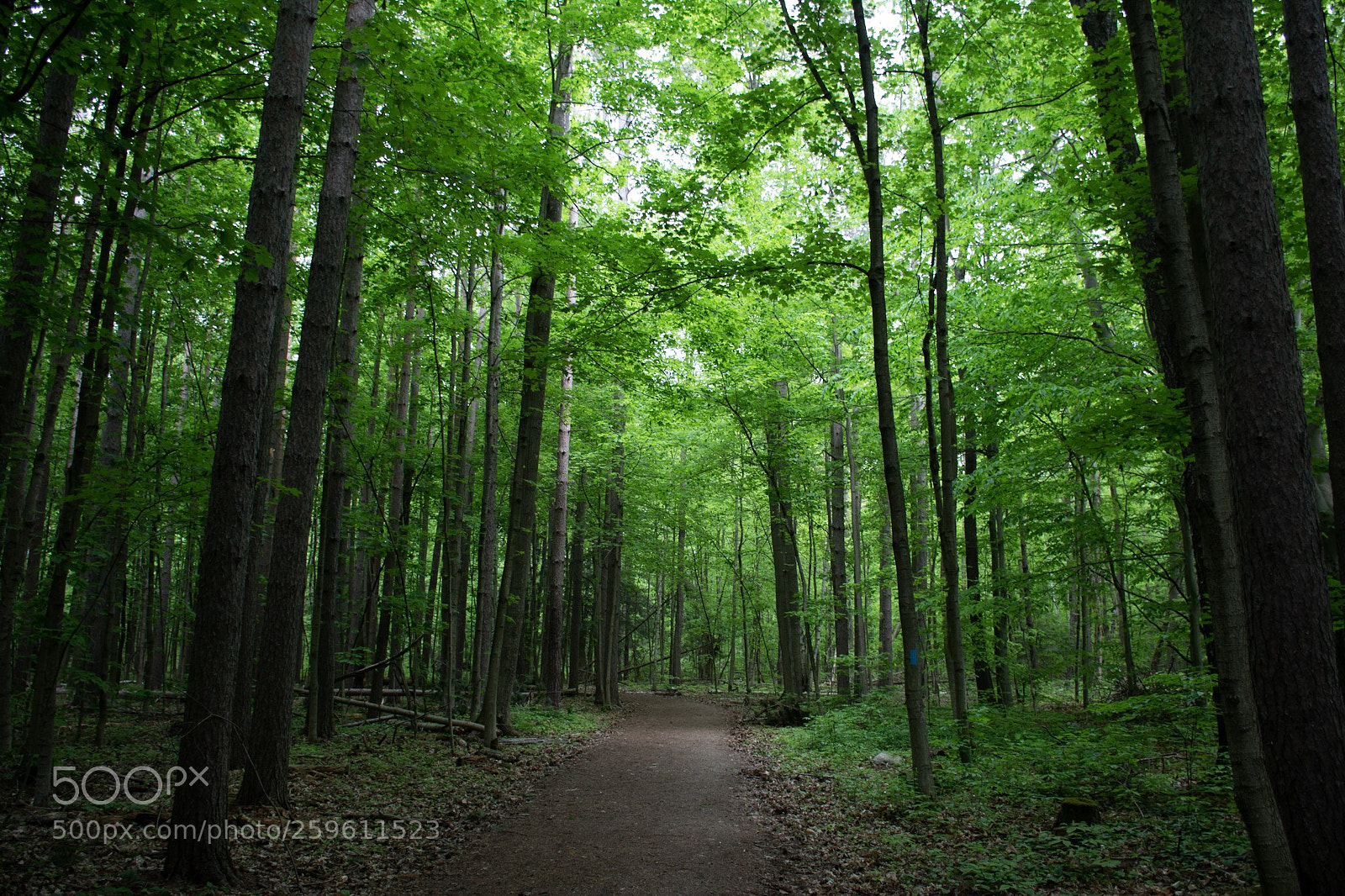 Nikon D7100 sample photo. Untitled photography