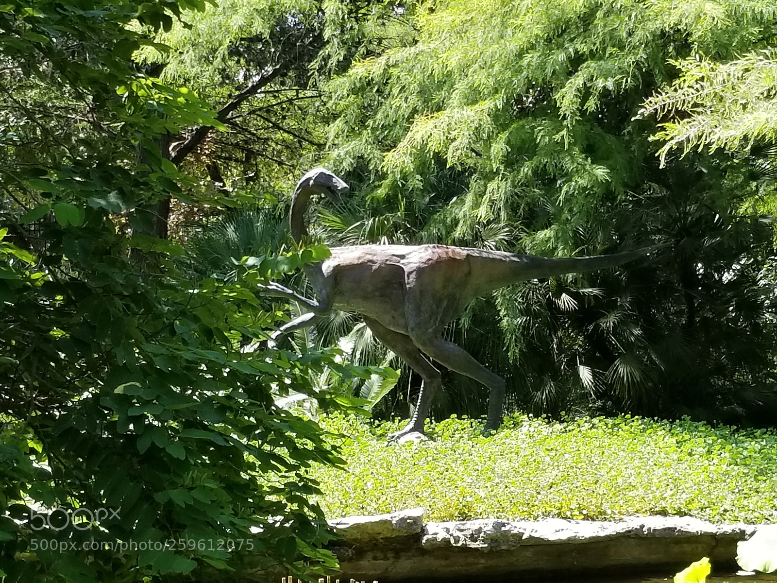 Samsung Galaxy S8+ sample photo. Untitled photography