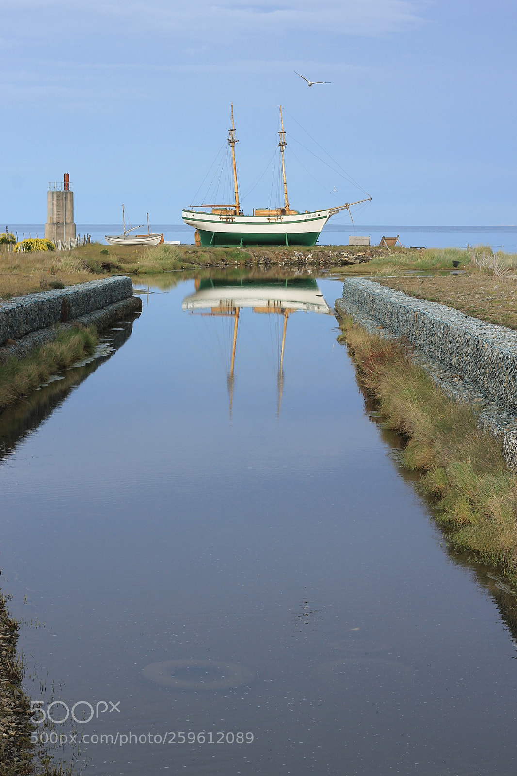 Canon EOS 1100D (EOS Rebel T3 / EOS Kiss X50) sample photo. Goleta ancud photography